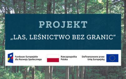 Zdjęcie do PROJEKT &bdquo;LAS, LEŚNICTWO BEZ GRANIC&rdquo; - WYNIKI REKRUTACJI