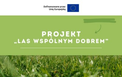 Zdjęcie do LAS WSP&Oacute;LNYM DOBREM - WYNIKI REKRUTACJI