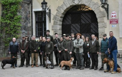 Zdjęcie do POKAZ PRACY POLSKICH RAS PS&Oacute;W MYŚLIWSKICH